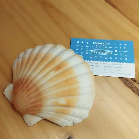 Oportocean *