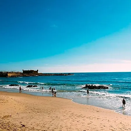 Oportocean بيت شباب ماتوسينهوس