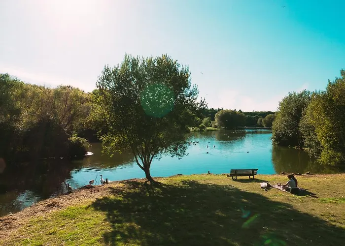 Oportocean מטוסיניוס