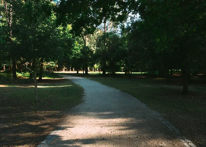 Oportocean * 마토지뉴스